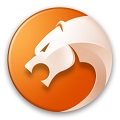 猎豹安全浏览器抢票专版 v6.5.115.16462