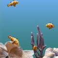 Marine Aquarium v3.3（梦幻水族馆屏保）