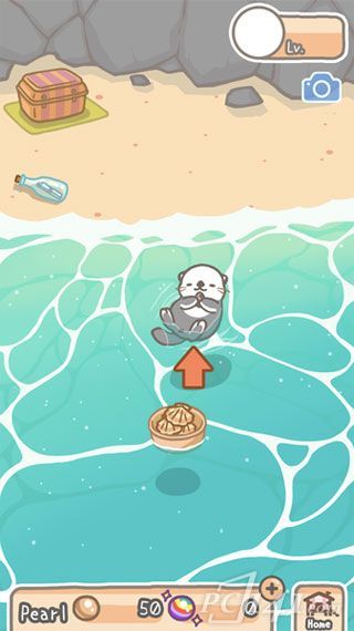 海獭浴场游戏
