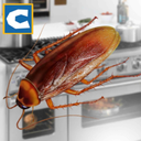 蟑螂模拟器安卓版 v1.1