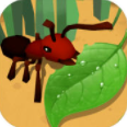 蚂蚁进化3d正式版无限资源免广告 v1.0