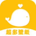 神图壁纸app官方版 v1.1.2