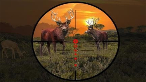 猎鹿野生动物射击官方正版