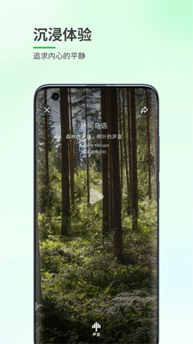 森林白噪音app免费版