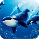 虎鲸模拟器无限经验版 v1.1.0
