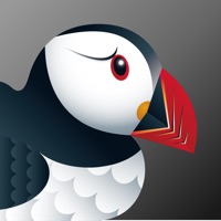 puffin浏览器2024官方正版 v9.3.1.50898