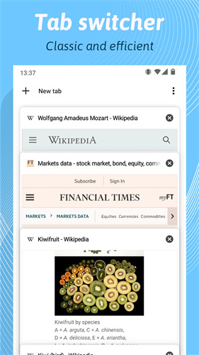 Kiwi Browser浏览器最新中文版